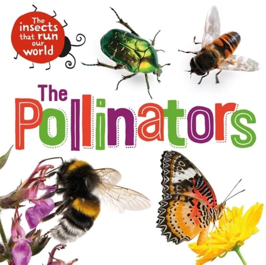 The Insects that Run Our World: The Pollinators Ridley Sarah