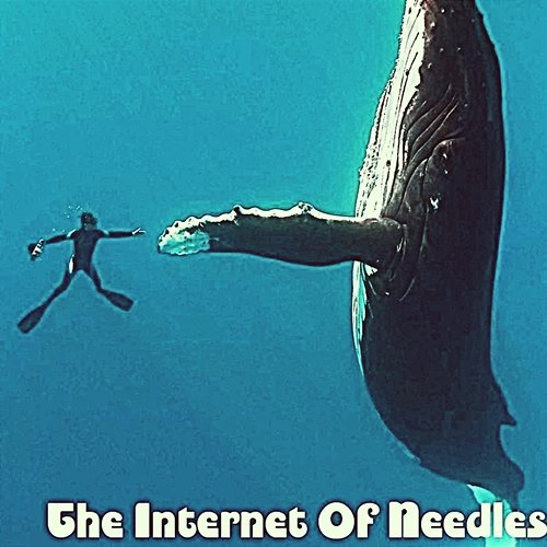 The Internet of Needles Deloren Lisamarie