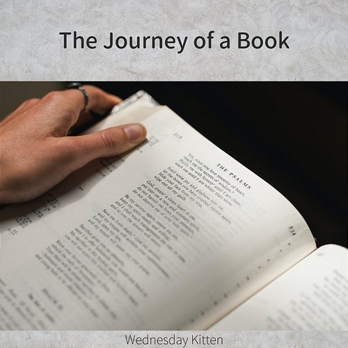 The Journey of a Book Wednesday Kitten