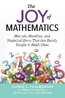 The Joy Of Mathematics Posamentier Alfred S.