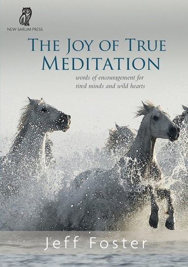 The joy of True Meditation Jeff Foster