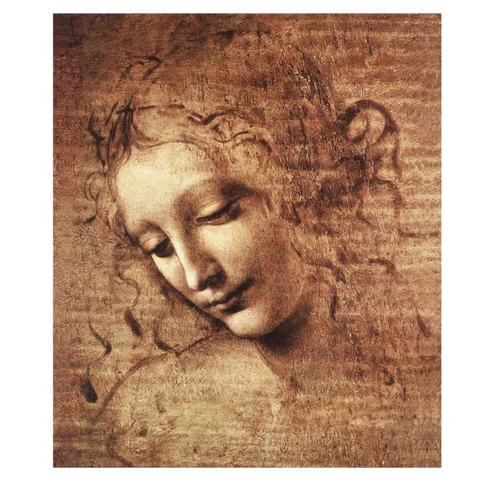 The Lady Of The Dishevelled Hair Leonardo 50x70 Legendarte