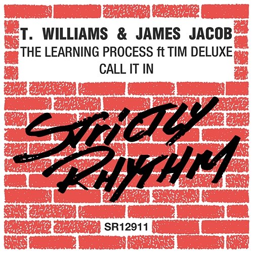 The Learning Process / Call It In T.Williams & James Jacob