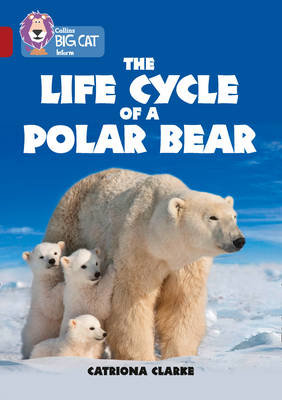 The Life Cycle of a Polar Bear: Band 14/Ruby Clarke Catriona