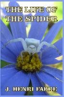 The Life of the Spider Fabre Henri J.