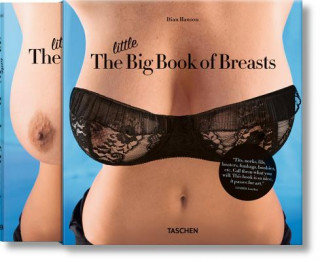 The Little Big Book of Breasts Hanson Dian