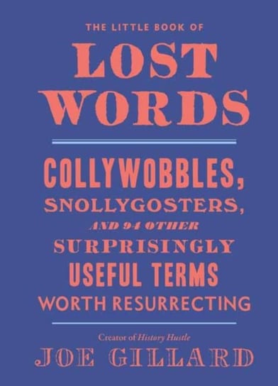 The Little Book of Lost Words Joe Gillard