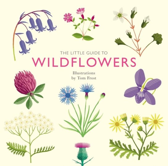 The Little Guide to Wildflowers Davies Alison
