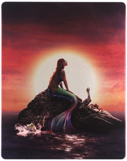 The Little Mermaid (Mała syrenka) (steelbook) Various Directors