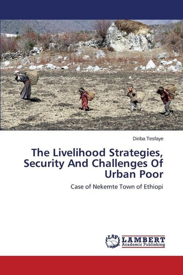 The Livelihood Strategies, Security And Challenges Of Urban Poor Tesfaye Diriba