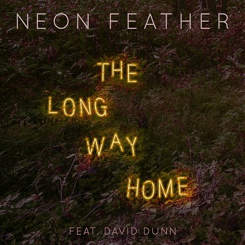 The Long Way Home Neon Feather feat. David Dunn