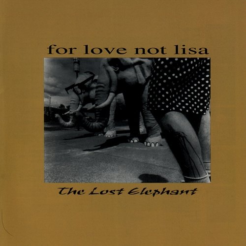 The Lost Elephant For Love Not Lisa