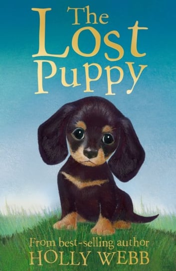 The Lost Puppy Webb Holly