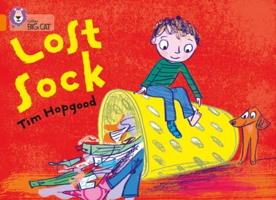 The Lost Sock Hopgood Tim