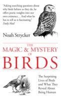 The Magic and Mystery of Birds Strycker Noah