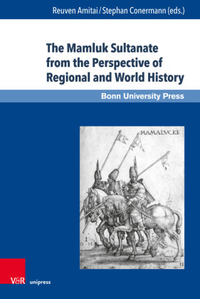 The Mamluk Sultanate from the Perspective of Regional and World History V&R Unipress Gmbh
