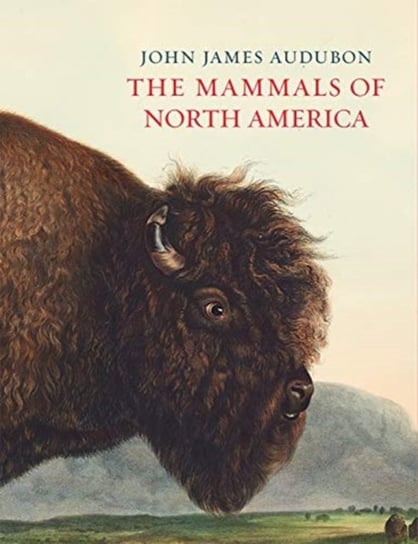 The Mammals of North America John James Audubon
