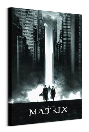 The Matrix Lightfall - obraz na płótnie Pyramid