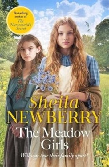 The Meadow Girls: A heartwarming World War I saga Sheila Newberry