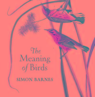 The Meaning of Birds Barnes Simon