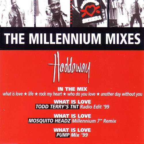 The Millennium Mixes Haddaway