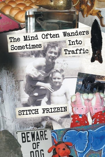 The Mind Often Wanders Sometimes Into Traffic Frizbin Stitch