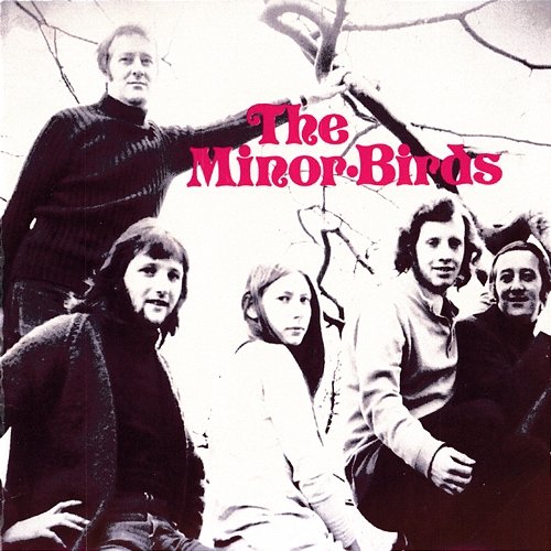 The Minor Birds The Minor Birds