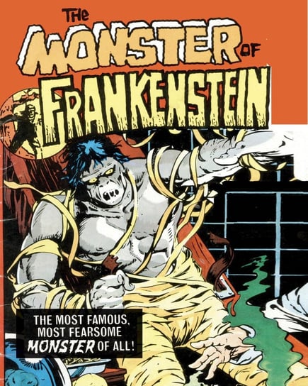 The Monster of Frankenstein - ebook epub Donald Kasen