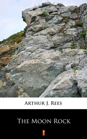 The Moon Rock Rees Arthur John