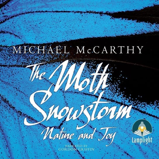 The Moth Snowstorm - audiobook McCarthy Michael
