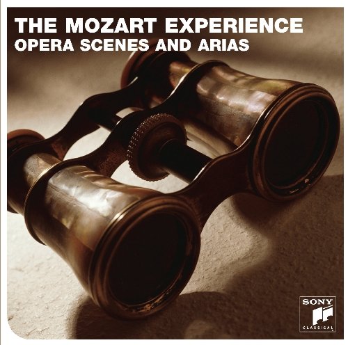 The Mozart Experience McGegan Nicholas