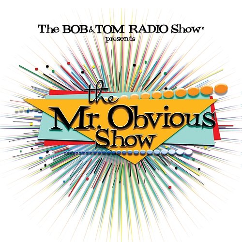 The Mr. Obvious Show Mr. Obvious