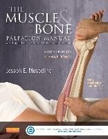 The Muscle and Bone Palpation Manual with Trigger Points, Referral Patterns and Stretching Muscolino Joseph E.