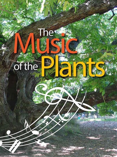 The Music of the Plants Esperide Ananas