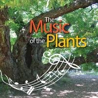 The Music of the Plants Esperide Ananas Silvia Buffagni
