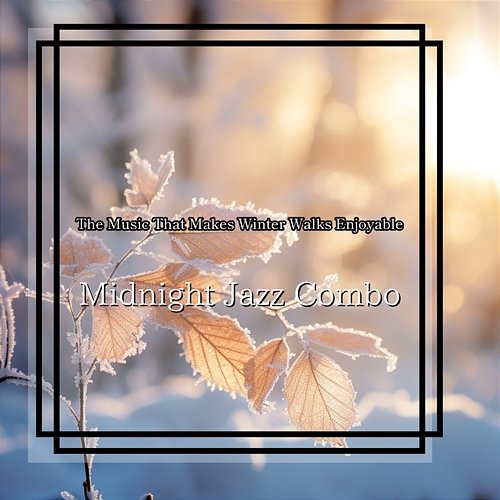 The Music That Makes Winter Walks Enjoyable Midnight Jazz Combo