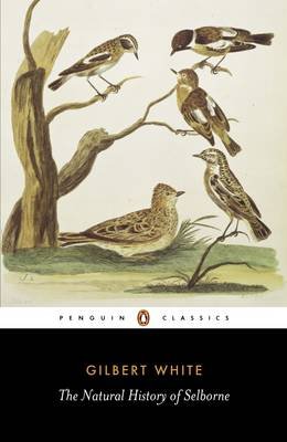 The Natural History of Selborne White Gilbert
