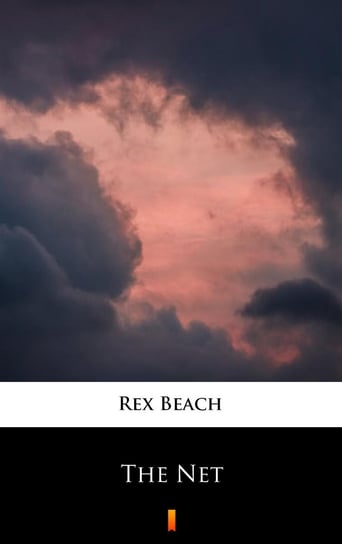 The Net Beach Rex