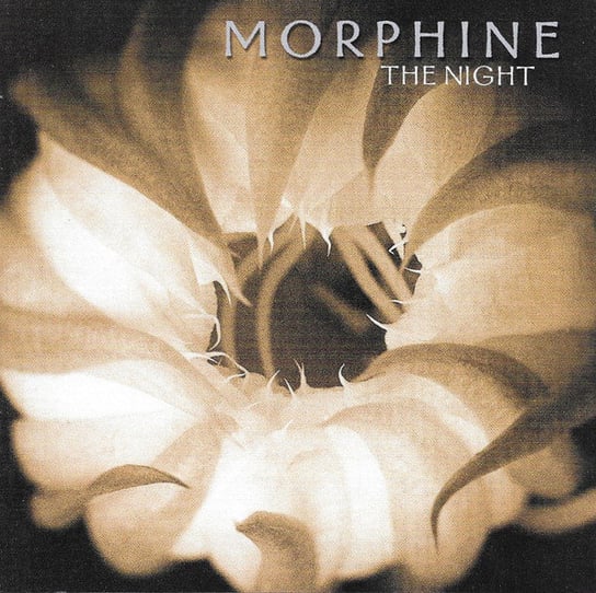 The Night Morphine