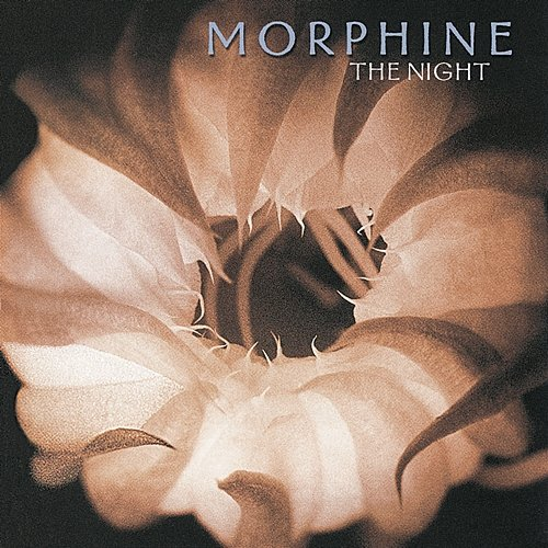 The Night Morphine