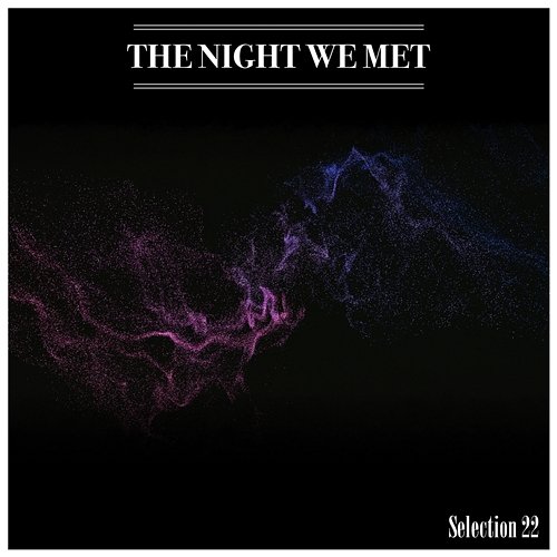 The Night We Met Selection 22 Various Artists