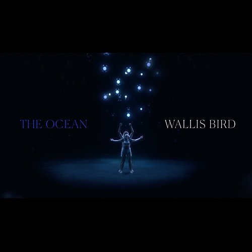 The Ocean Wallis Bird
