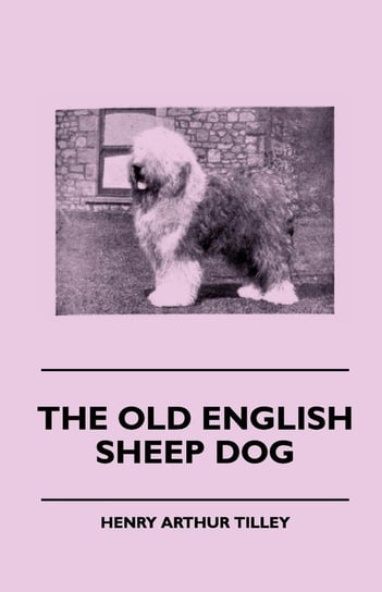 The Old English Sheep Dog Tilley Henry Arthur