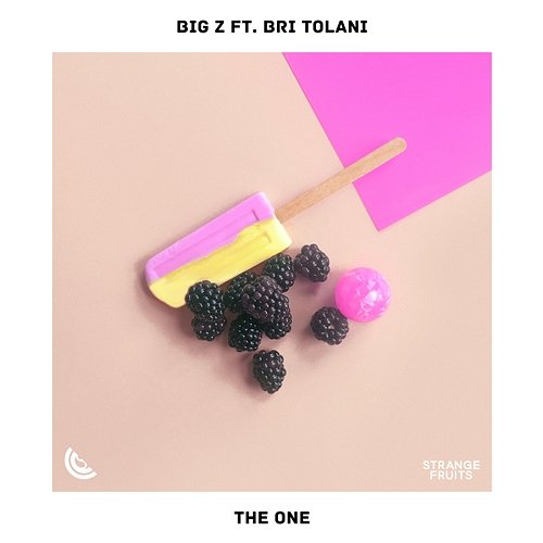 The One Big Z feat. Bri Tolani