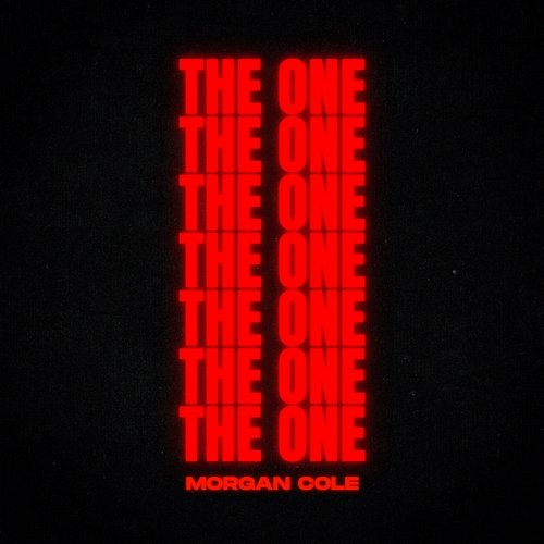 The One Morgan Cole