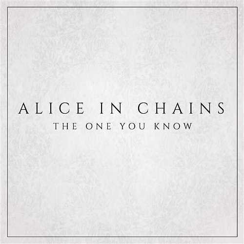 The One You Know Alice In Chains