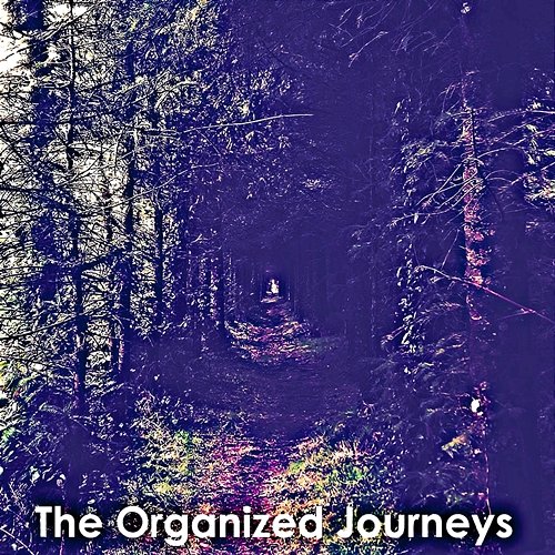 The Organized Journeys Brando Lashann