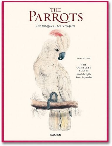The Parrots Edward Lear