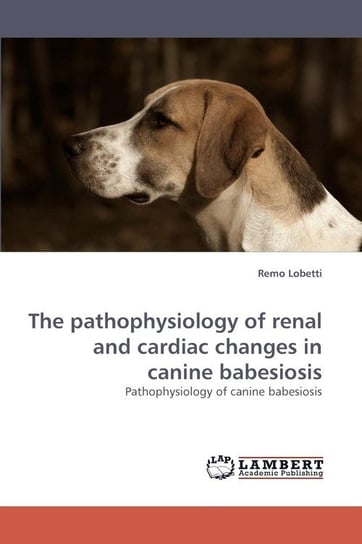 The pathophysiology of renal and cardiac changes in canine babesiosis Lobetti Remo