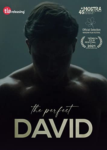 The Perfect David (Doskonały Dawid) Various Directors